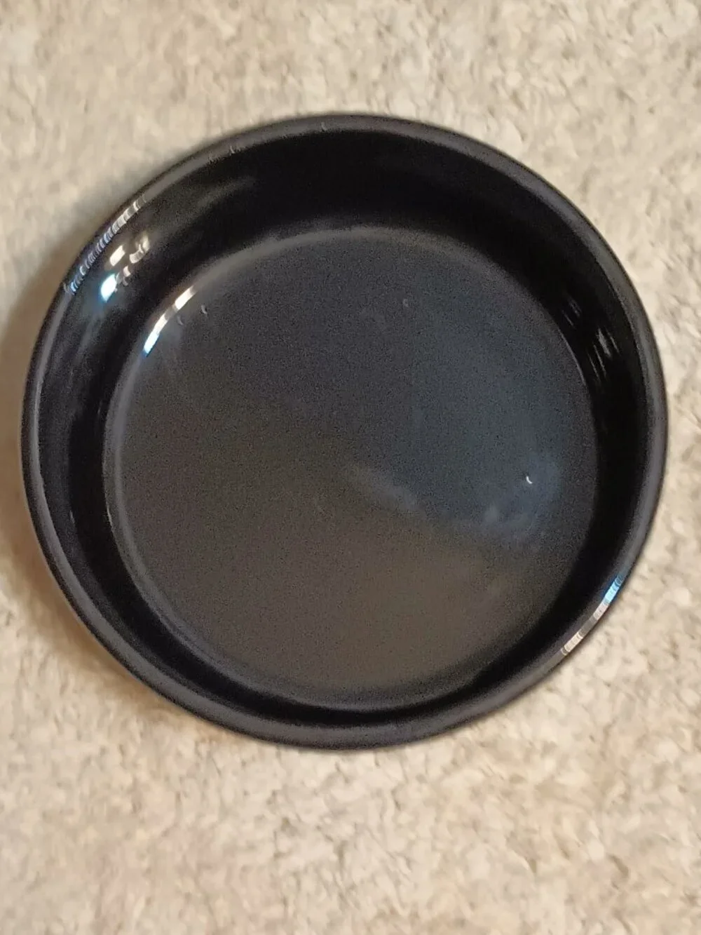 NWT ~ SportPet's Black Colored Paw Prints 
